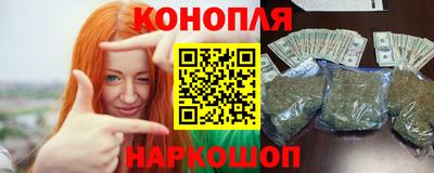 индика Будённовск