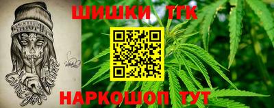 индика Будённовск